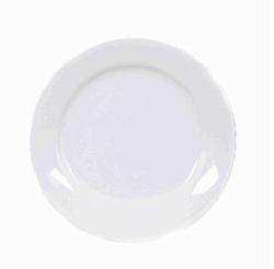 white dinner plate