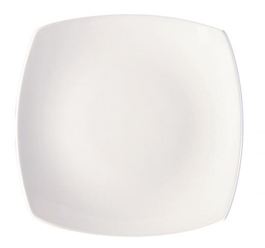 evolution crockery plate