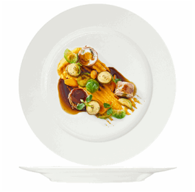 bone china plate set